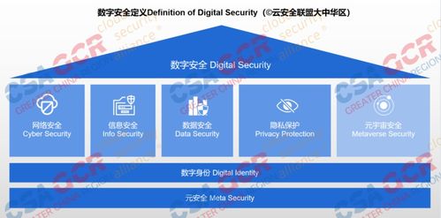 數(shù)字安全框架首發(fā) 數(shù)字經(jīng)濟(jì)騰飛，網(wǎng)絡(luò)與信息安全軟件開發(fā)護(hù)航